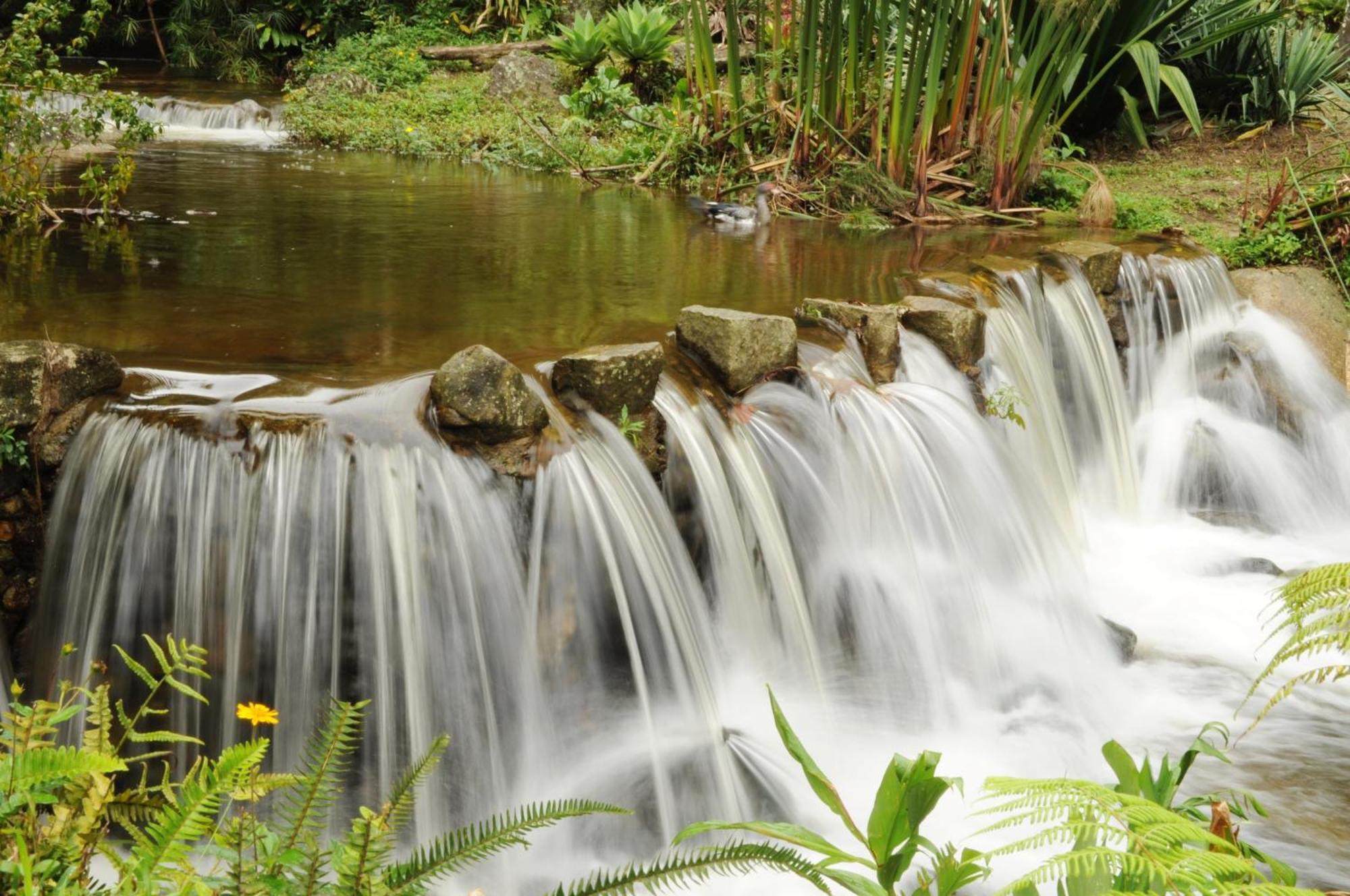 Pousada Sitio e Poesia Teresópolis Exterior foto